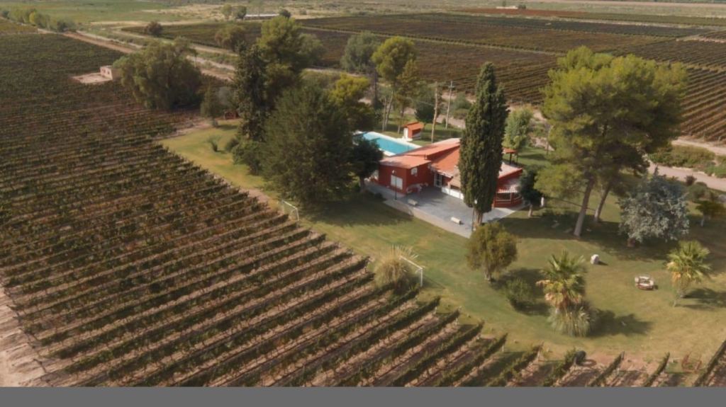 Campo en Venta en Lujan de Cuyo, Mendoza