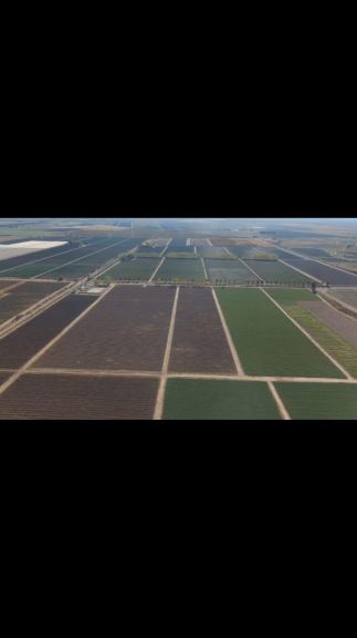 Campo en Venta en Lujan de Cuyo, Mendoza