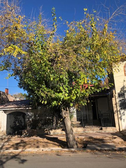 Casa en Venta en Godoy Cruz, Mendoza