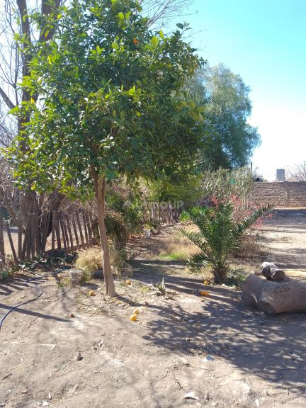 Casa en Alquiler en Guaymallen, Mendoza