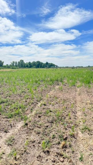 Finca en Venta en Godoy Cruz, Mendoza