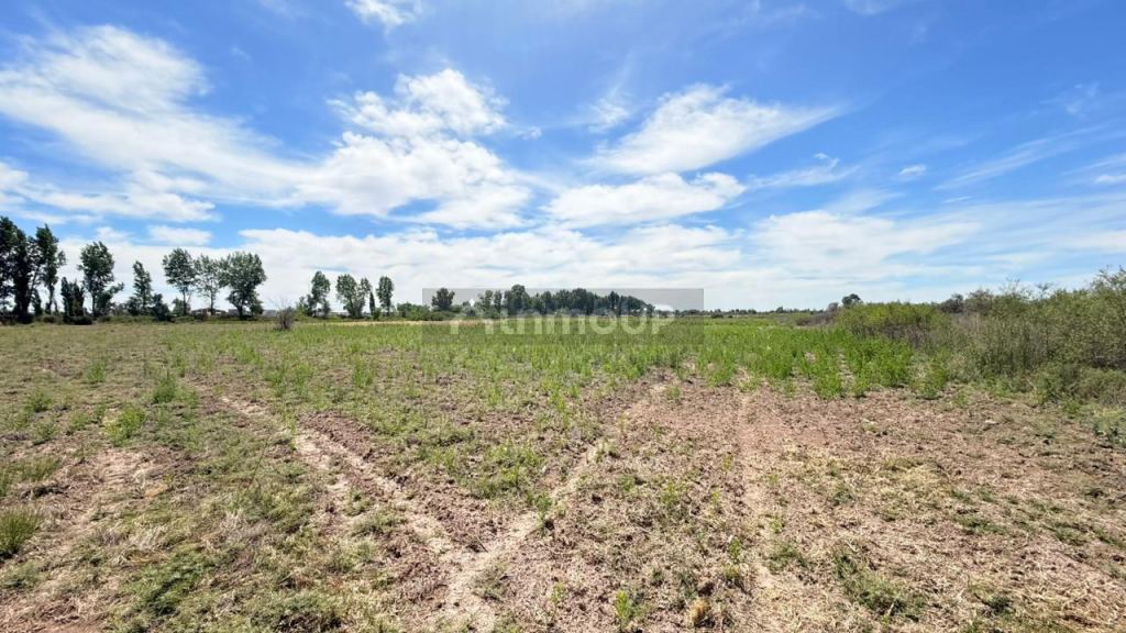 Finca en Venta en Godoy Cruz, Mendoza