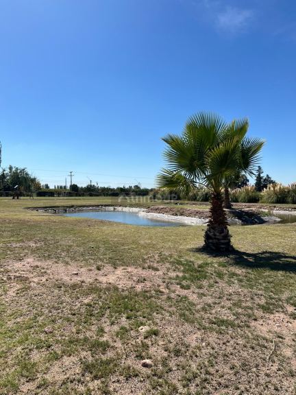 Lote en Venta en Maipu, Mendoza