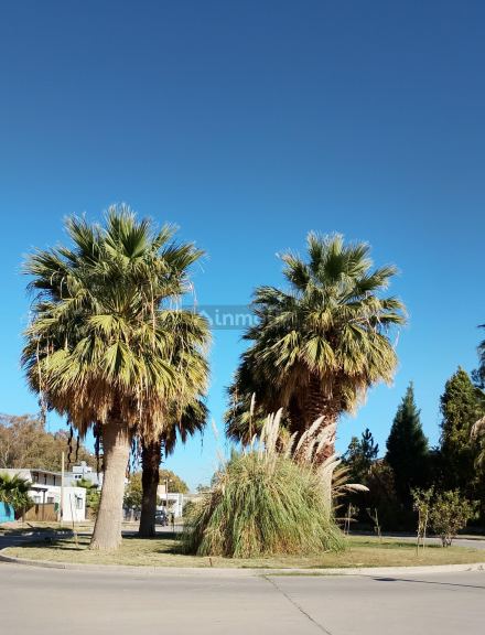 Lote en Venta en Guaymallen, Mendoza