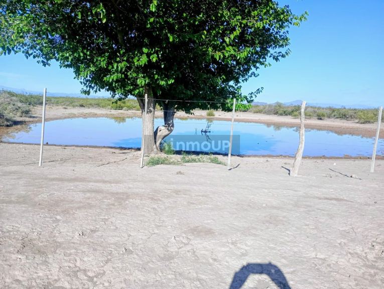 Campo en Venta en San Rafael, Mendoza