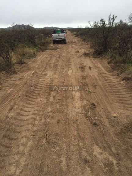 Campo en Venta en San Rafael, Mendoza