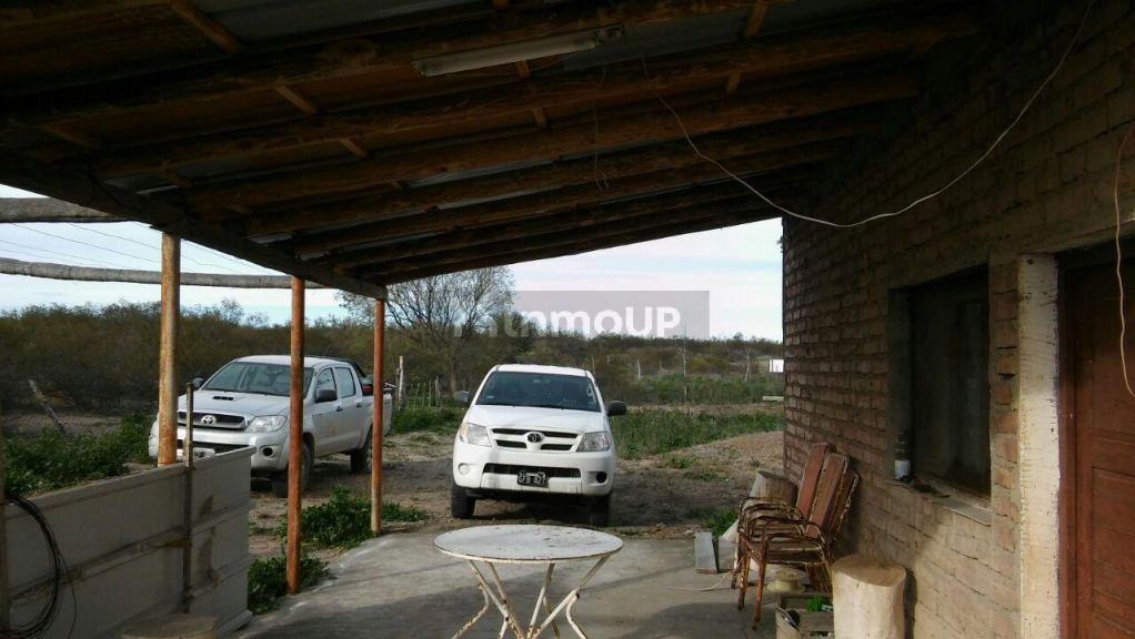 Campo en Venta en San Rafael, Mendoza