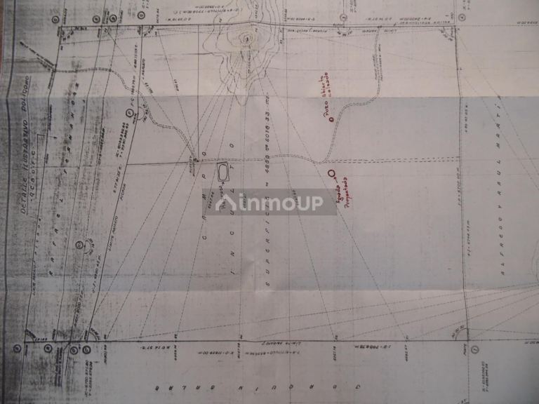 Campo en Venta en San Rafael, Mendoza
