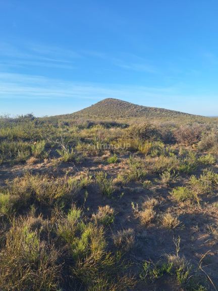 Campo en Venta en San Rafael, Mendoza