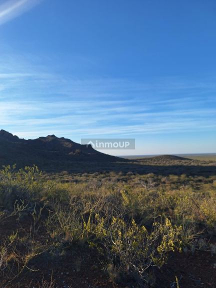Campo en Venta en San Rafael, Mendoza