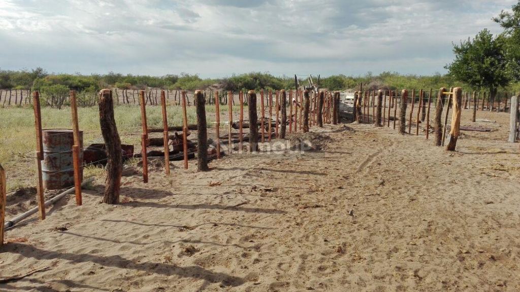 Campo en Venta en San Rafael, Mendoza