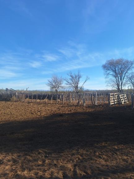 Campo en Venta en San Rafael, Mendoza