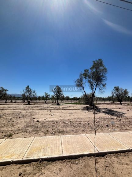 Lote en Venta en Lujan de Cuyo, Mendoza