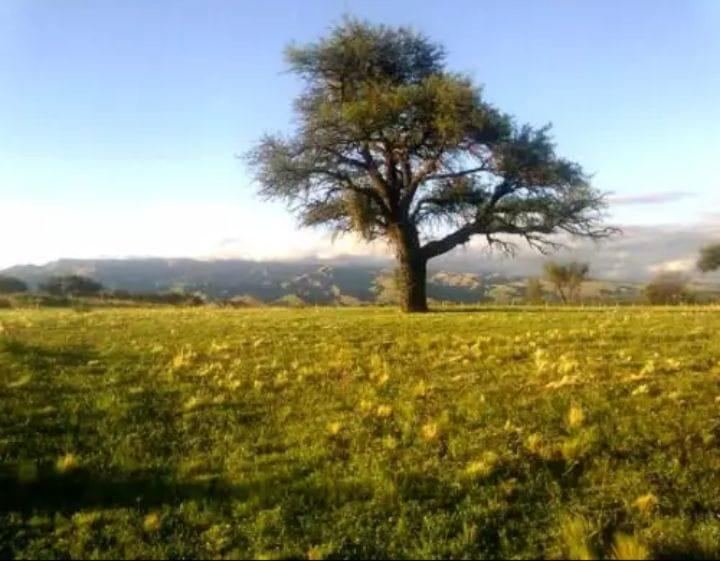 Campo en Venta en El Volcan, San Luis