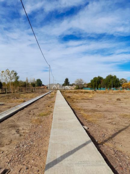 Lote en Venta en Junin, Mendoza