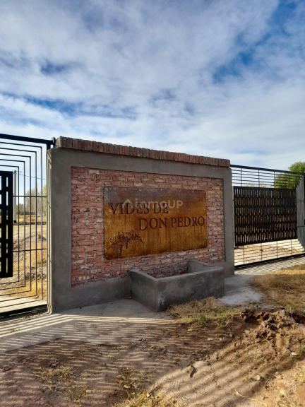 Lote en Venta en Junin, Mendoza