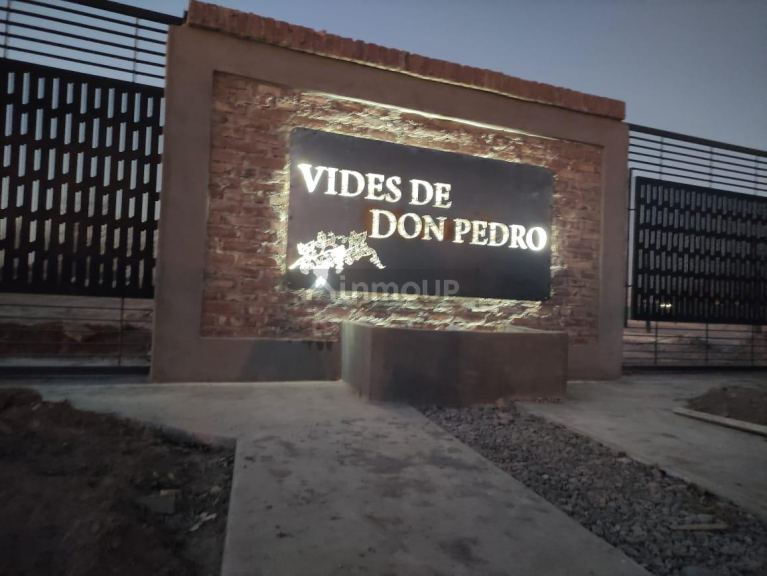 Lote en Venta en Junin, Mendoza