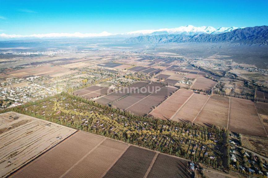 Lote en Venta en Lujan de Cuyo, Mendoza