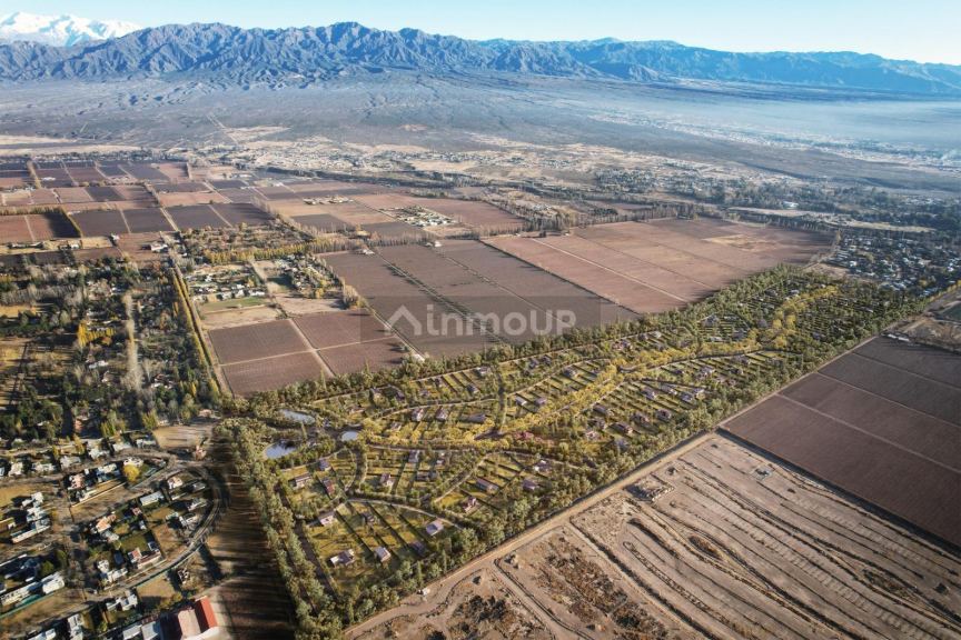 Lote en Venta en Lujan de Cuyo, Mendoza