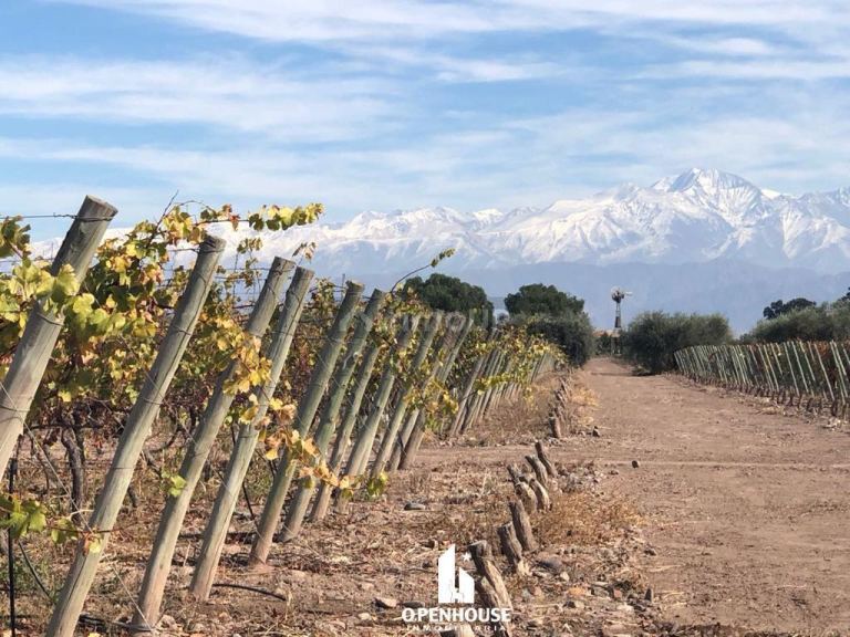 Lote en Venta en Maipu, Mendoza