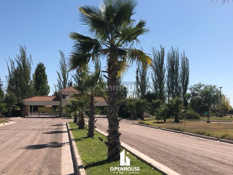 Lote en Venta en Maipu, Mendoza