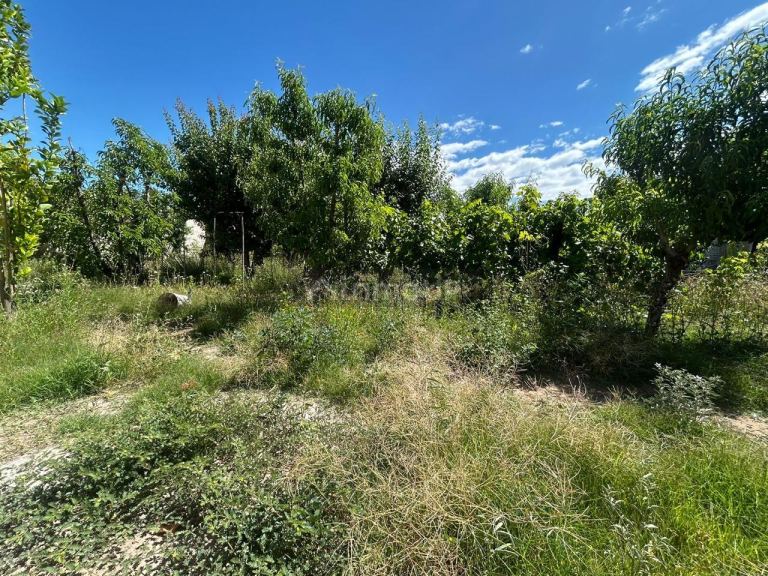 Terreno en Venta en Maipu, Mendoza