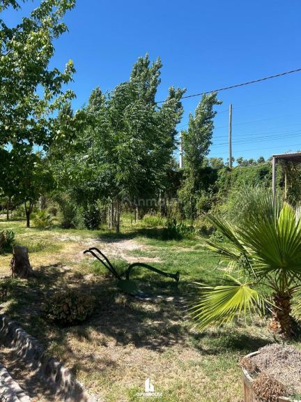 Terreno en Venta en Maipu, Mendoza
