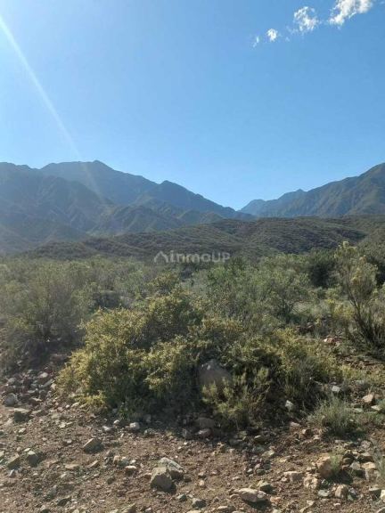 Terreno en Venta en Lujan de Cuyo, Mendoza