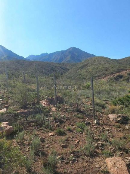 Terreno en Venta en Lujan de Cuyo, Mendoza