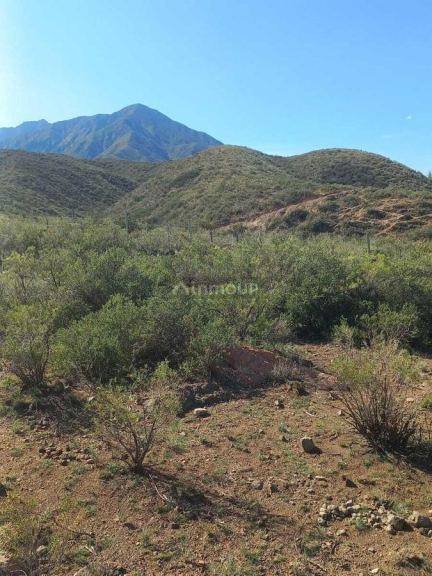 Terreno en Venta en Lujan de Cuyo, Mendoza