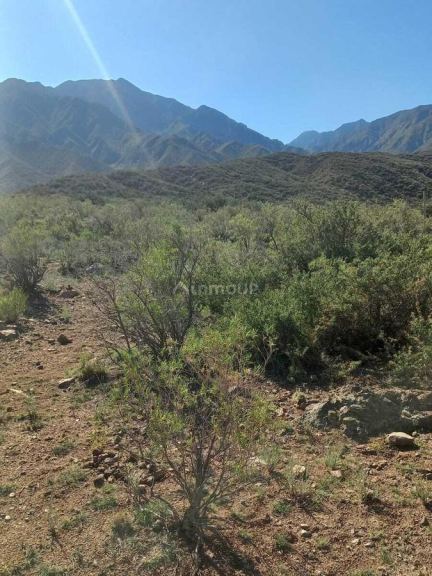 Terreno en Venta en Lujan de Cuyo, Mendoza