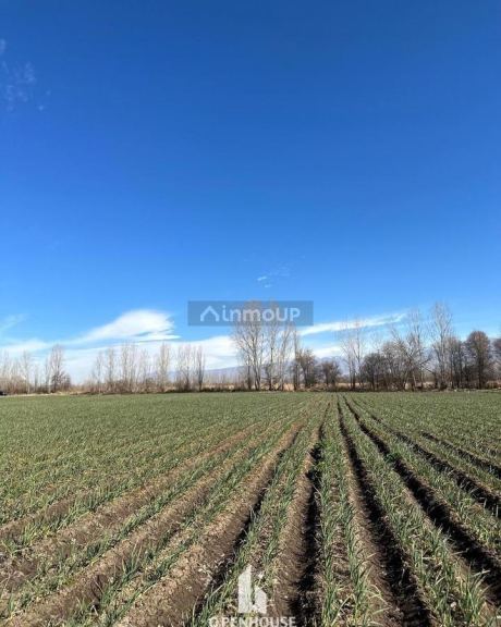 Terreno en Venta en Tunuyan, Mendoza