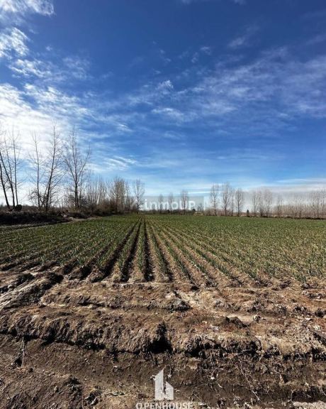 Terreno en Venta en Tunuyan, Mendoza