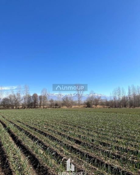 Terreno en Venta en Tunuyan, Mendoza