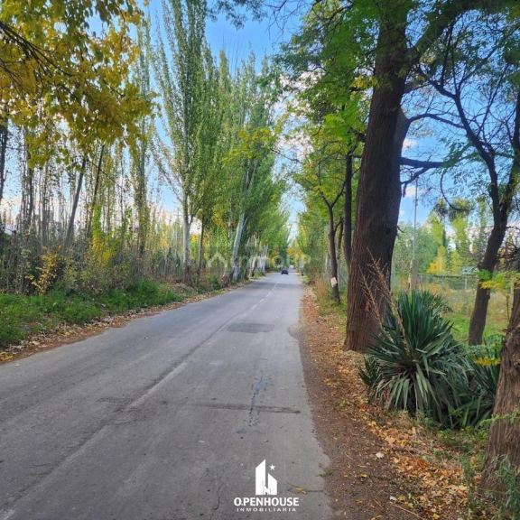 Terreno en Venta en Lujan de Cuyo, Mendoza