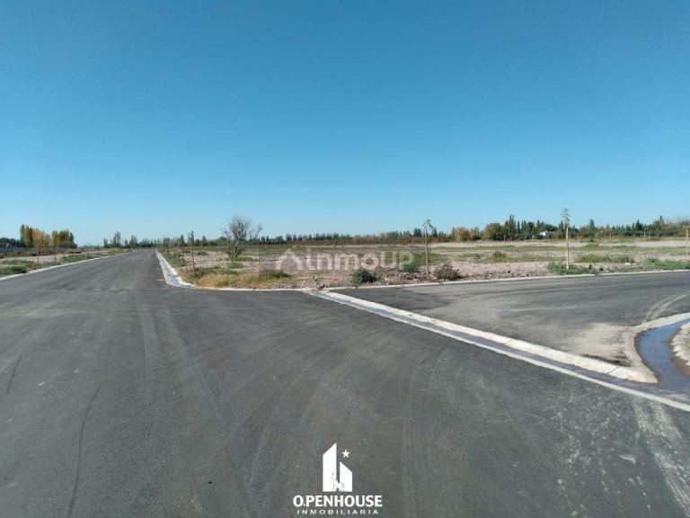 Terreno en Venta en Lujan de Cuyo, Mendoza