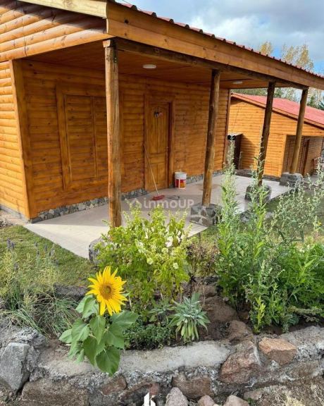 Quinta en Venta en Lujan de Cuyo, Mendoza
