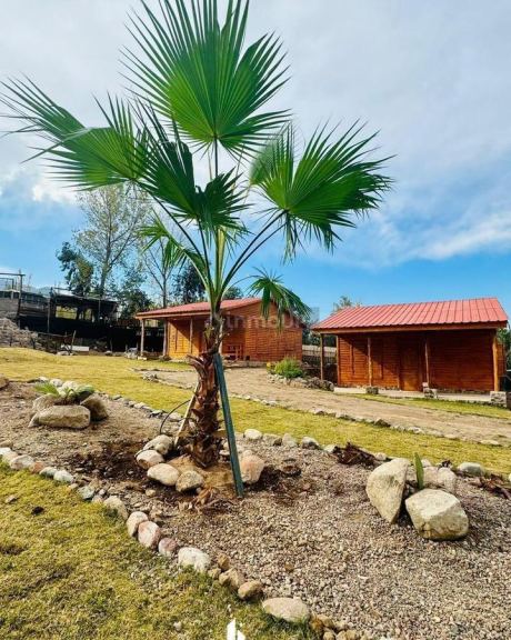 Quinta en Venta en Lujan de Cuyo, Mendoza