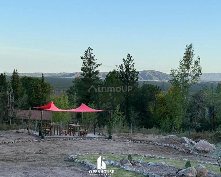 Quinta en Venta en Lujan de Cuyo, Mendoza