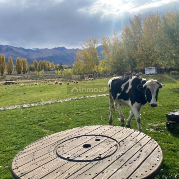 Casa en Venta en Tupungato, Mendoza