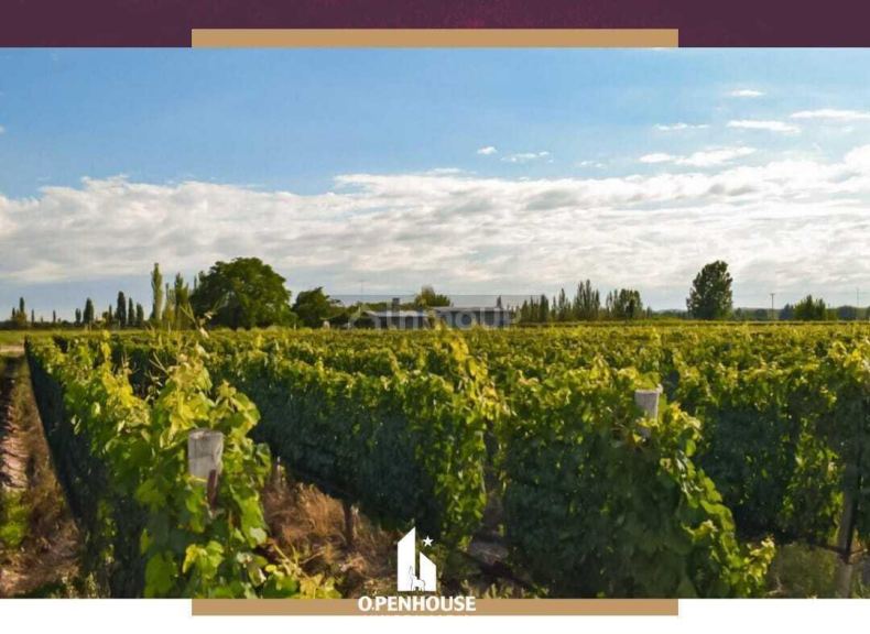 Fondo de Comercio en Venta en Lujan de Cuyo, Mendoza