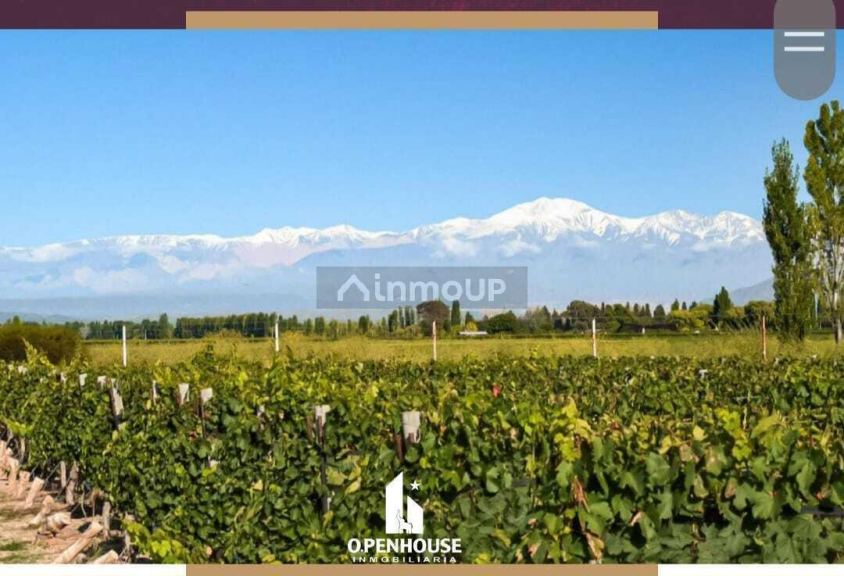 Fondo de Comercio en Venta en Lujan de Cuyo, Mendoza