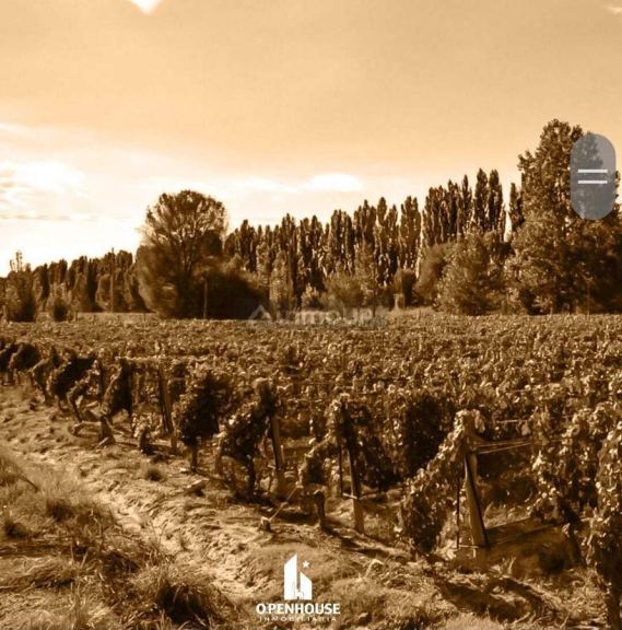 Fondo de Comercio en Venta en Lujan de Cuyo, Mendoza