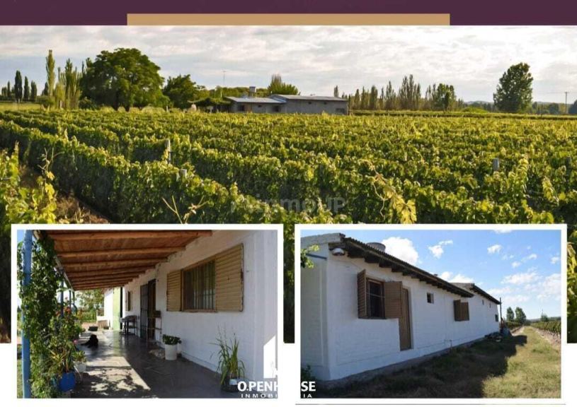 Fondo de Comercio en Venta en Lujan de Cuyo, Mendoza