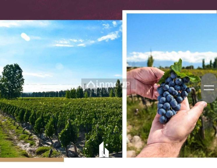Fondo de Comercio en Venta en Lujan de Cuyo, Mendoza