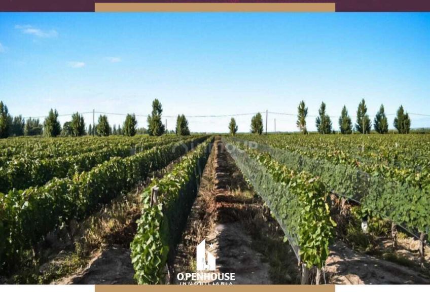 Fondo de Comercio en Venta en Lujan de Cuyo, Mendoza
