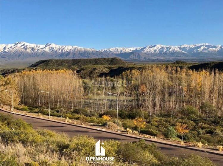 Terreno en Venta en Lujan de Cuyo, Mendoza