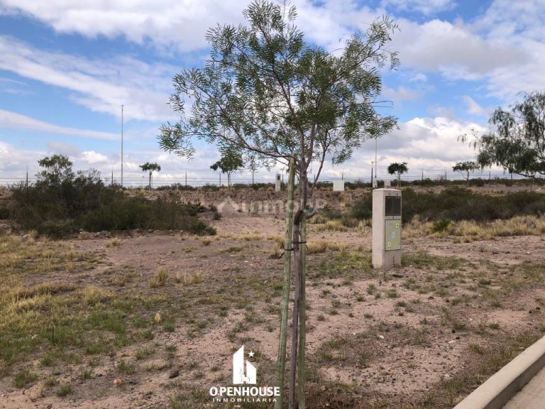 Terreno en Venta en Lujan de Cuyo, Mendoza