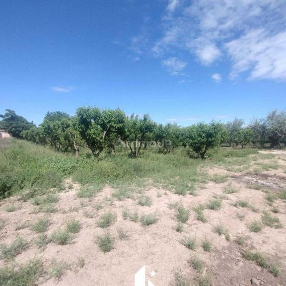 Finca en Venta en Maipu, Mendoza