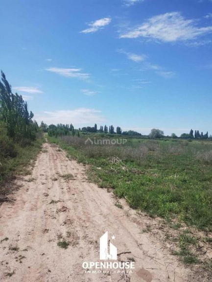 Finca en Venta en Maipu, Mendoza